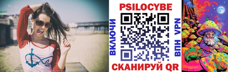 где можно купить наркотик  Терек  Псилоцибиновые грибы Psilocybine cubensis 