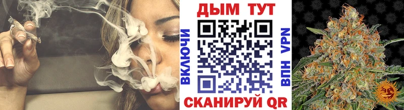 Шишки марихуана AK-47  МЕГА зеркало  Терек 